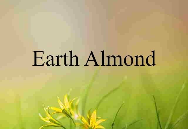 earth almond