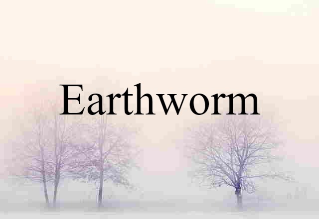 Earthworm (noun) Definition, Meaning & Examples