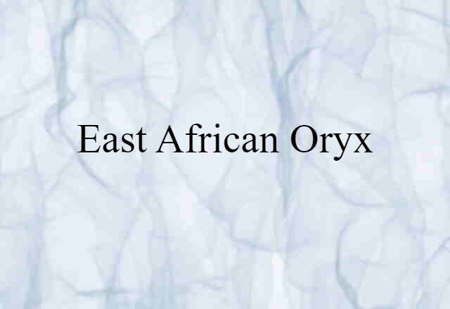 East African Oryx (noun) Definition, Meaning & Examples