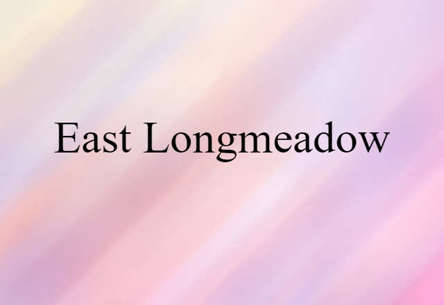 East Longmeadow (noun) Definition, Meaning & Examples