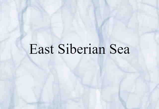 East Siberian Sea (noun) Definition, Meaning & Examples