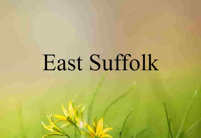 East Suffolk (noun) Definition, Meaning & Examples