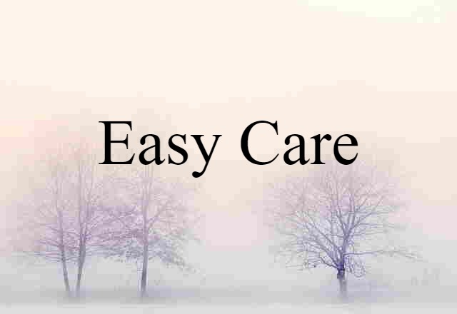 Easy-care (noun) Definition, Meaning & Examples