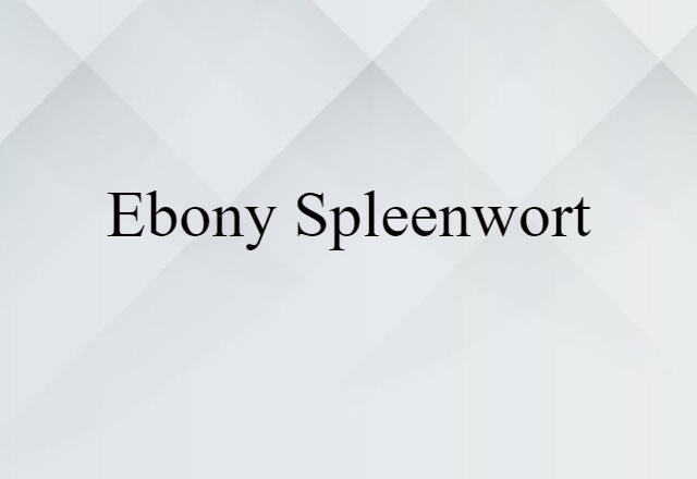 Ebony Spleenwort (noun) Definition, Meaning & Examples