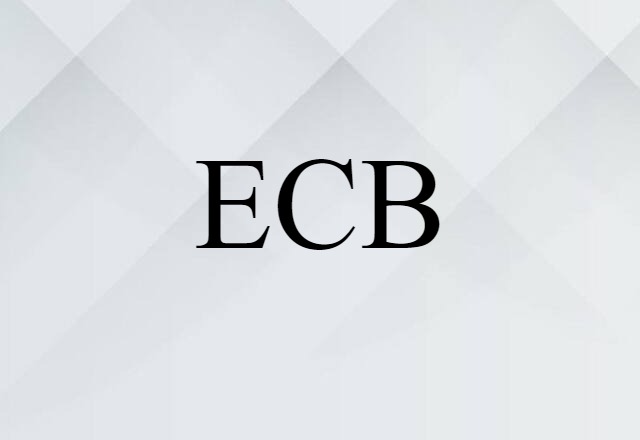 ECB (noun) Definition, Meaning & Examples