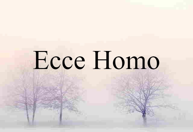 Ecce Homo (noun) Definition, Meaning & Examples