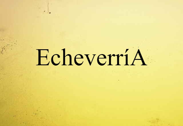 Echeverría (noun) Definition, Meaning & Examples