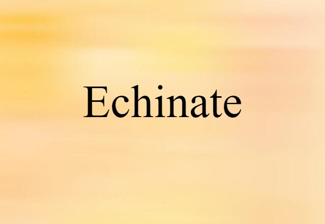 Echinate (noun) Definition, Meaning & Examples