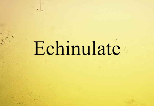 echinulate