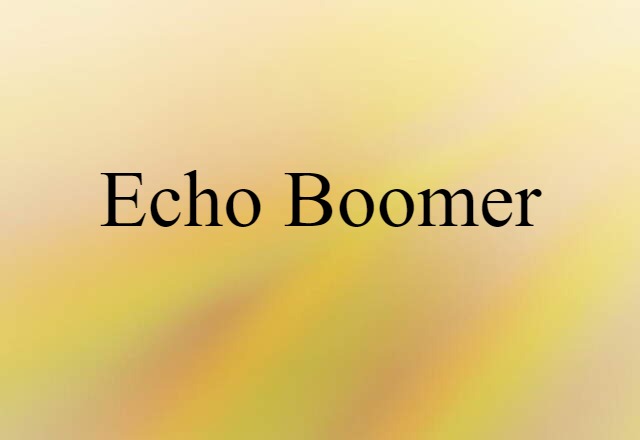 Echo Boomer (noun) Definition, Meaning & Examples