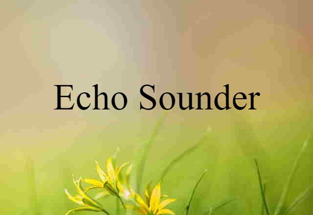 echo sounder