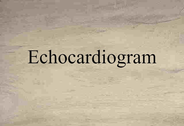 Echocardiogram (noun) Definition, Meaning & Examples