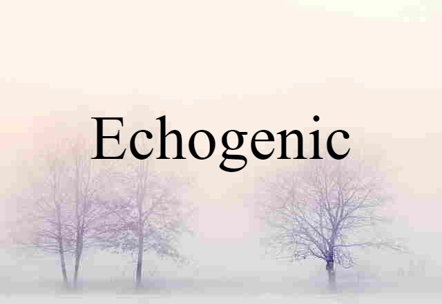 echogenic