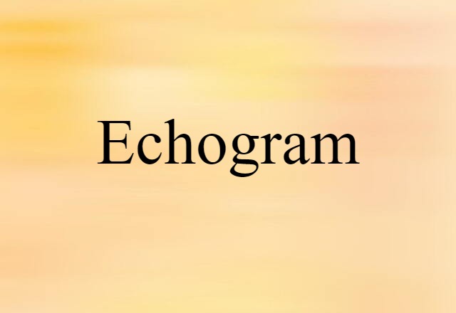 Echogram (noun) Definition, Meaning & Examples