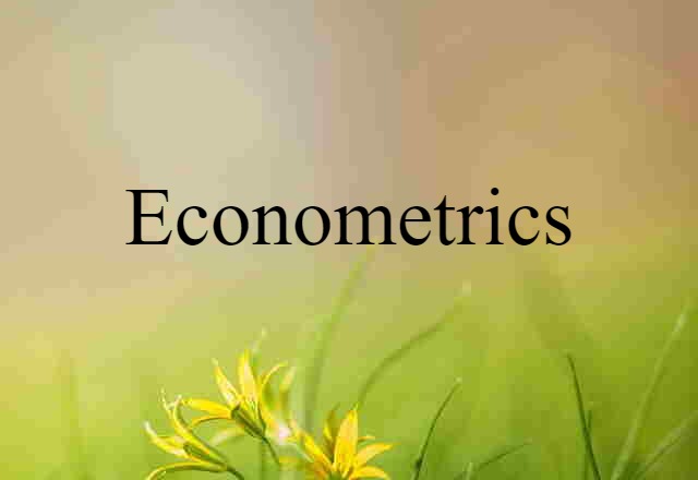 Econometrics (noun) Definition, Meaning & Examples