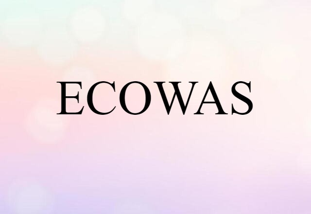 ECOWAS (noun) Definition, Meaning & Examples