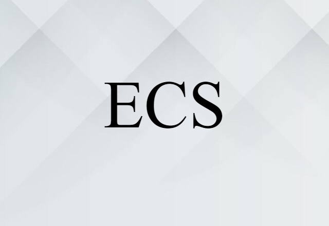 ECS (noun) Definition, Meaning & Examples