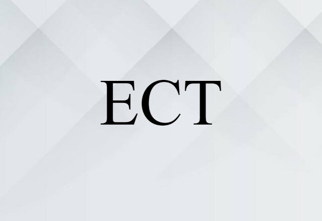 ECT (noun) Definition, Meaning & Examples