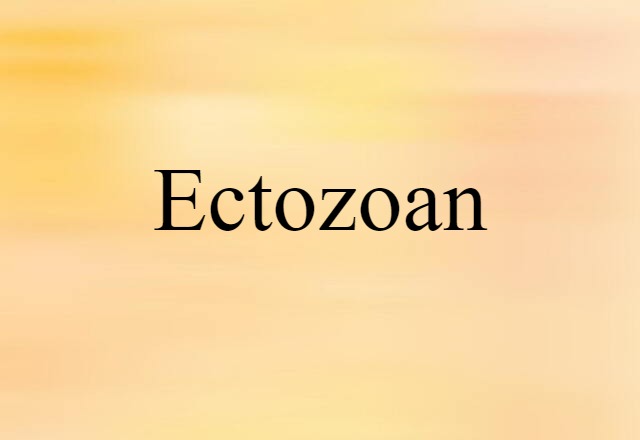 Ectozoan (noun) Definition, Meaning & Examples