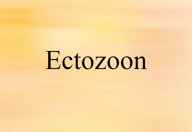 Ectozoon (noun) Definition, Meaning & Examples