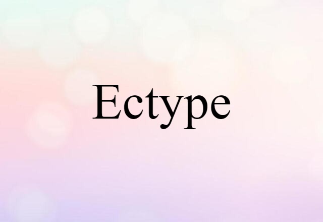 Ectype (noun) Definition, Meaning & Examples