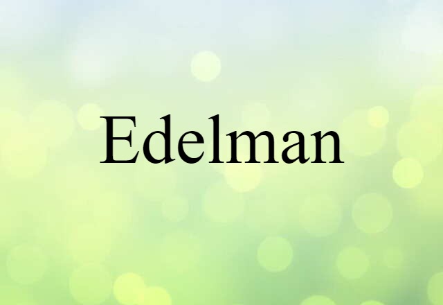 Edelman (noun) Definition, Meaning & Examples