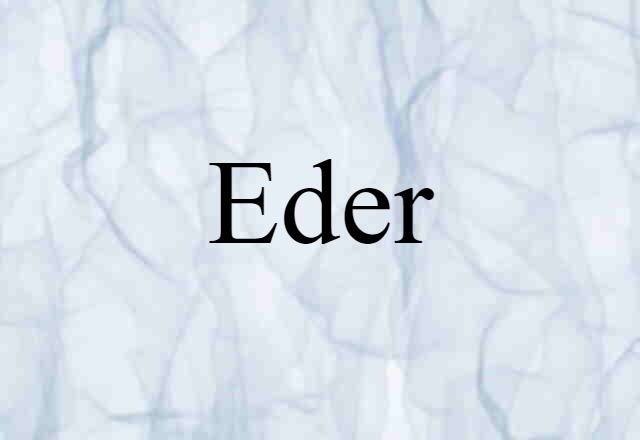 Eder (noun) Definition, Meaning & Examples