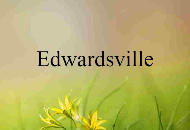 Edwardsville (noun) Definition, Meaning & Examples