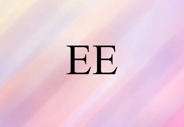 EE (noun) Definition, Meaning & Examples