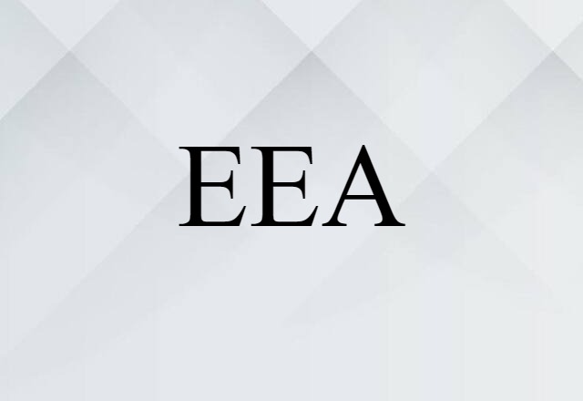 EEA (noun) Definition, Meaning & Examples