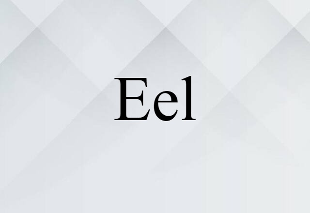 eel