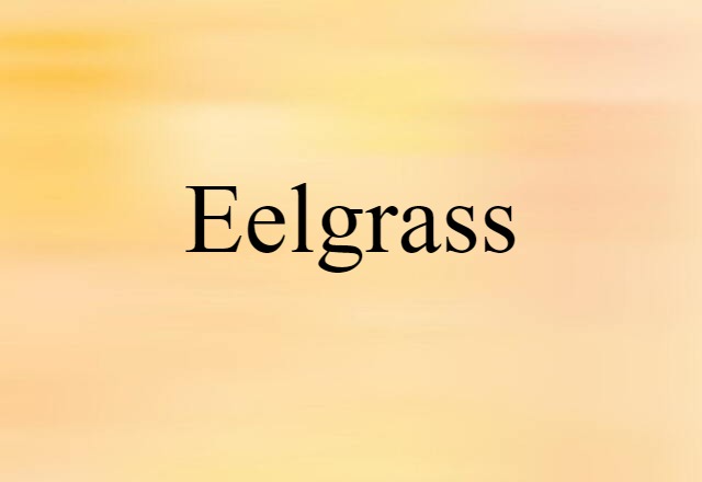 Eelgrass (noun) Definition, Meaning & Examples