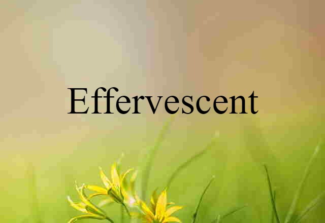 Effervescent (noun) Definition, Meaning & Examples