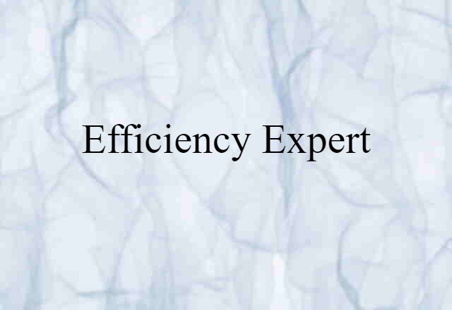 Efficiency Expert (noun) Definition, Meaning & Examples