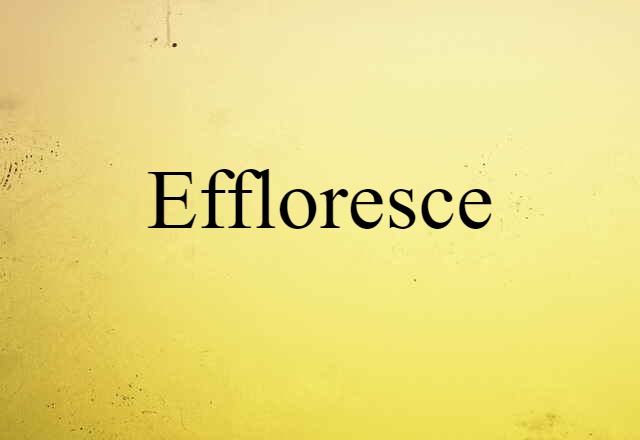 Effloresce (noun) Definition, Meaning & Examples