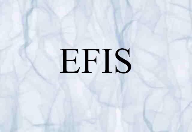 EFIS (noun) Definition, Meaning & Examples