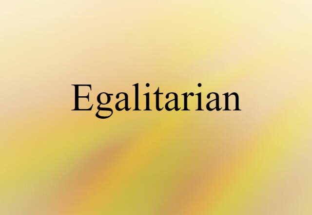 Egalitarian (noun) Definition, Meaning & Examples