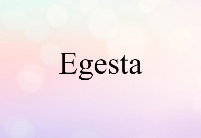 Egesta (noun) Definition, Meaning & Examples