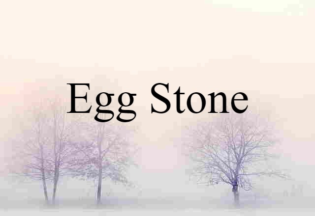 Egg Stone (noun) Definition, Meaning & Examples