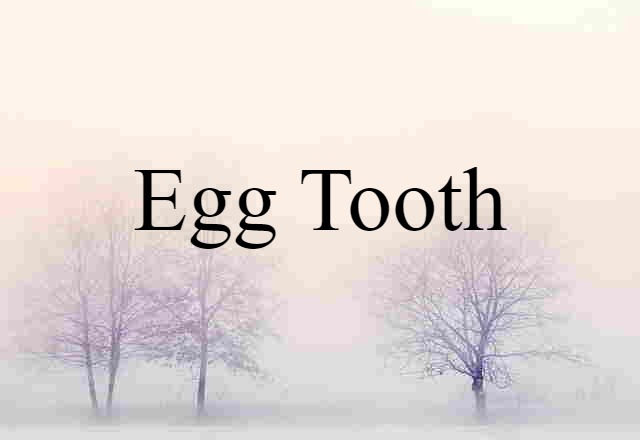 egg tooth