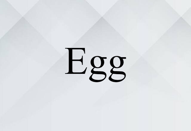 egg