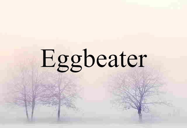 Eggbeater (noun) Definition, Meaning & Examples