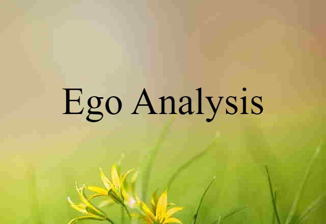 Ego Analysis (noun) Definition, Meaning & Examples