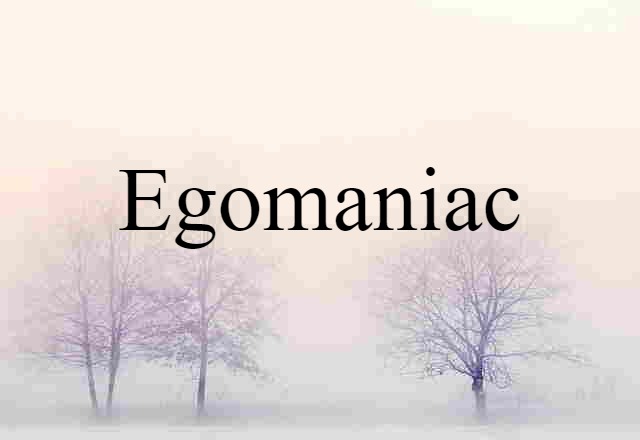 Egomaniac (noun) Definition, Meaning & Examples