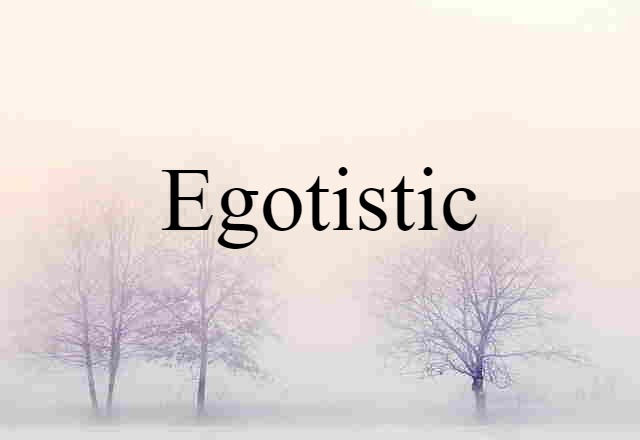 Egotistic (noun) Definition, Meaning & Examples