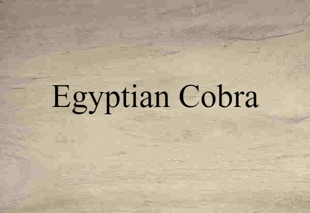 Egyptian cobra