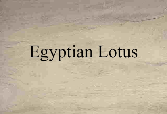 Egyptian lotus