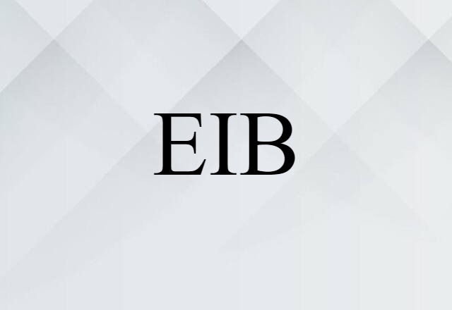 EIB (noun) Definition, Meaning & Examples