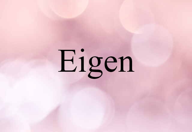 Eigen (noun) Definition, Meaning & Examples