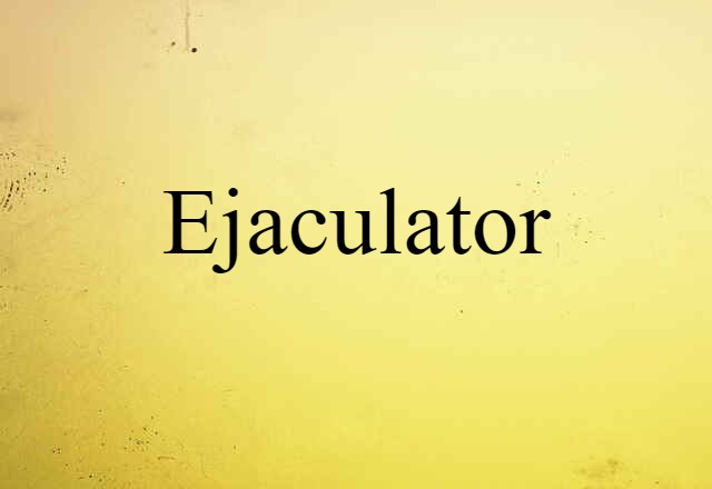 Ejaculator (noun) Definition, Meaning & Examples